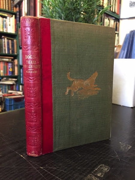 Image for Dogs: Their Management Being A new Plan of Treating the Animal, based upon a consideration of his natural temperament. Illustrated by numerous woodcuts depicting the character and position of the dog when suffering disease.