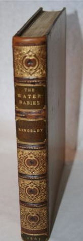 Image for The Water Babies - A Fairy Tale for a Land-Baby