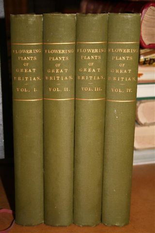 Image for The Flowering Plants, Grasses, Sedges & Ferns of Great Britain and Their Allies, the Club Mosses, Horsetails, &c. 4 Vols