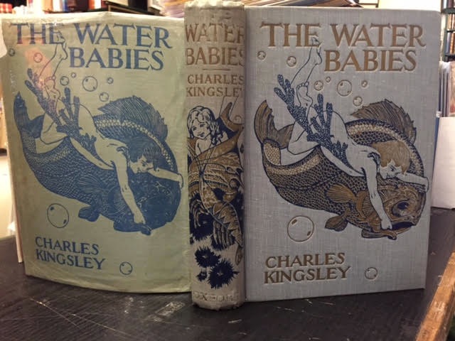 Image for The Water Babies