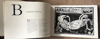 A Millennium Bestiary Image for A Millennium Bestiary