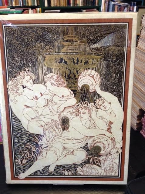 Image for Fontane Di Roma