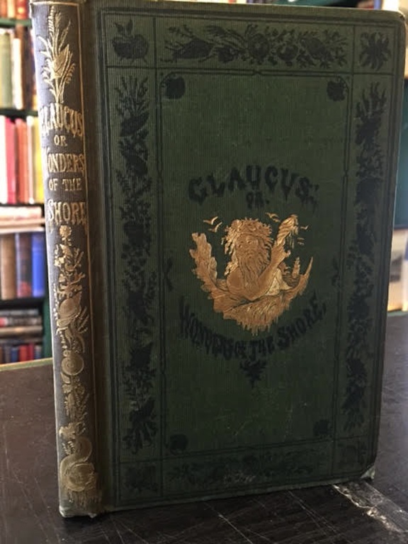 Image for Glaucus: Or, The Wonders of the Shore