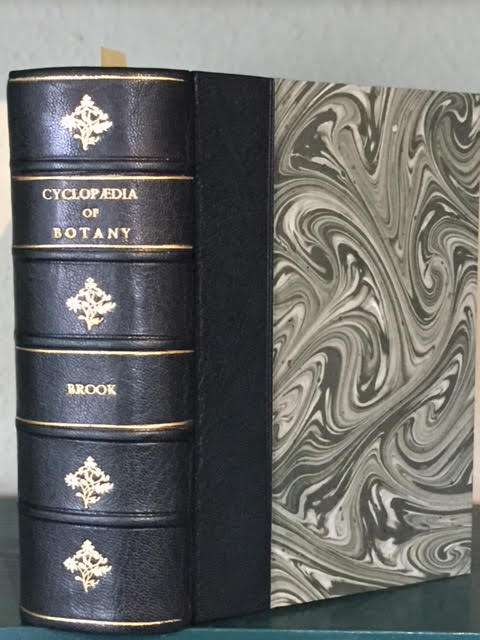 Image for The Cyclopaedia of Botany and Complete Book of Herbs: Forming a History and Description of All Plants, British or Foreign Which are Known to be Useful to Man