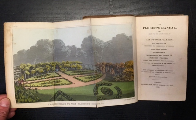 Image for The Florist's Manual, or Hints for the Construction of a Gay Flower-Garden; with directions for preventing the depredations of insects. Second Edition, Enlarged, with observations on the treatment and growth of bulbous plants, curious facts respecting their management, and directions for the culture of the Guernsey Lily, Amaryllis Sarniensis by the authoress of botanical dialogues, and sketches of the physiology of vegetable life. Illustrated with Coloured Plates.