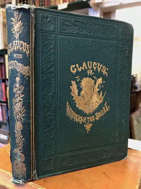 Image for Glaucus: Or, The Wonders Of The Shore