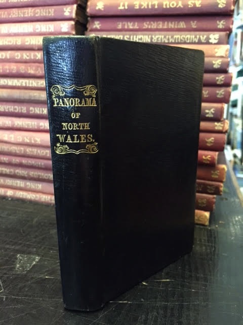 Image for Panorama of the Beauties, Curiosities and Antiquities of North Wales, Exhibited in it Mountains, Vallies, Waterfalls... Intended as a Pocket Companion to the Tourist and Traveller