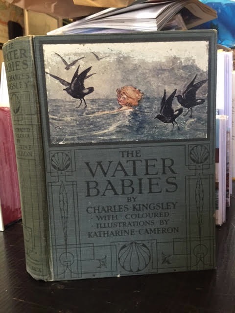Image for The Water-Babies: A Fairy Tale For A Land-Baby