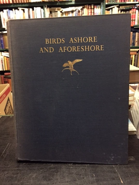 Image for Birds Ashore And A-Foreshore