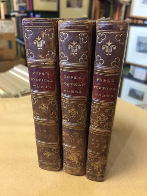 Image for The Poetical Works of Alexander Pope