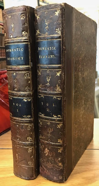 Image for The Magazine of Domestic Economy and Family Review in Two Volumes