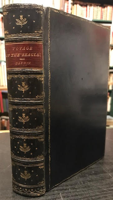 Image for Journal of Researches into the Natural History and Geology of the Countries Visited during the Voyage of H.M.S. Beagle Round the World
