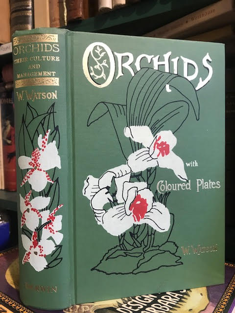 Image for Orchids : Their Culture and Management. With Descriptions of All the Kinds in General Cultivation