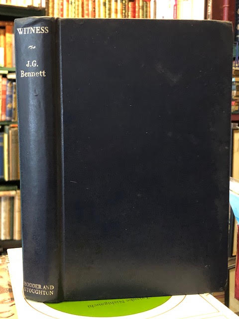 Image for Witness : The Story of a Search