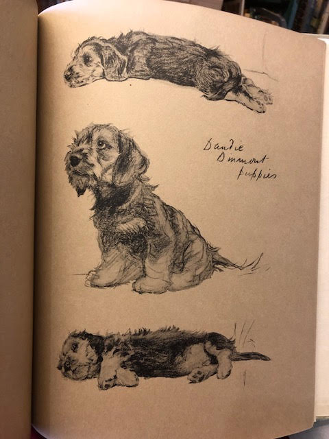 Image for Just Among Friends. Pages from My Sketch Books