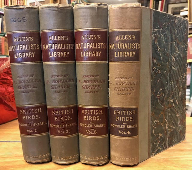 Image for A Hand-Book to the Birds of Great Britain. Allen's Naturalist's Library. In four volumes