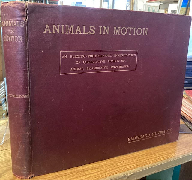 Animals in Motion: An Electro-Photographic Investigation of Consecutive ...